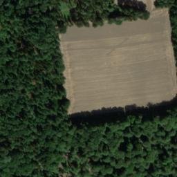 Satellite imagery of Buchenberg, DE