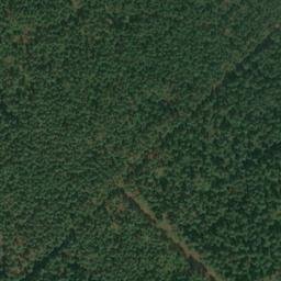 Satellite imagery of Immenthumsberg, DE