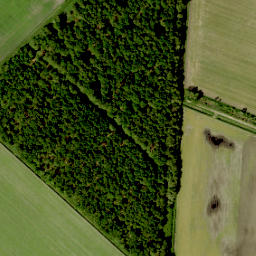 Satellite imagery of 185, NL