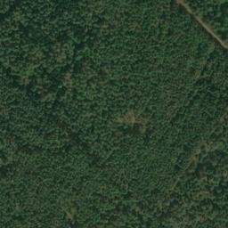 Satellite imagery of Immenthumsberg, DE