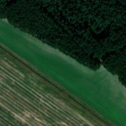 Satellite imagery of Tannenberg, DE