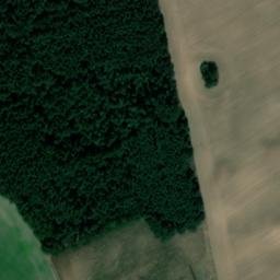 Satellite imagery of Tannenberg, DE