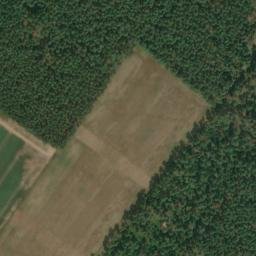 Satellite imagery of Immenthumsberg, DE