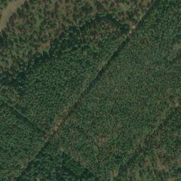 Satellite imagery of Immenthumsberg, DE