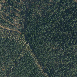 Satellite imagery of Gräfingsberg, DE