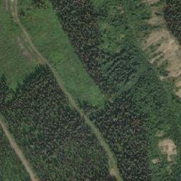 Satellite imagery of Barkerville Mountain, CA