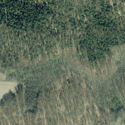 Satellite imagery of Kienberg, DE