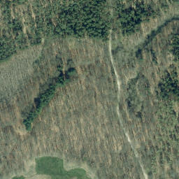 Satellite imagery of Kienberg, DE