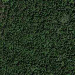 Satellite imagery of Бол. Викторьевка, RU