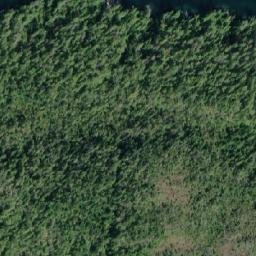 Satellite imagery of Levy Point, CA