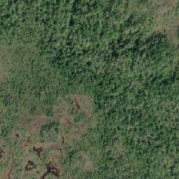 Satellite imagery of Levy Point, CA
