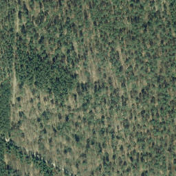Satellite imagery of Eichberg, DE