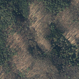 Satellite imagery of Hoher Mechtin, DE