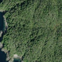 Satellite imagery of McNeill Point, CA