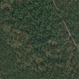 Satellite imagery of Tiedkenberg, DE