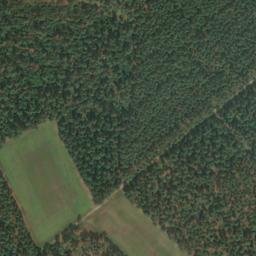 Satellite imagery of Tiedkenberg, DE