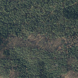 Satellite imagery of Hoher Mechtin, DE