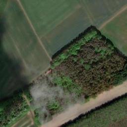 Satellite imagery of Wittkoppenberg, DE