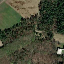 Satellite imagery of Wittkoppenberg, DE
