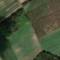 Satellite imagery of Wittkoppenberg, DE