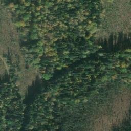Satellite imagery of Mouse Mountain, CA