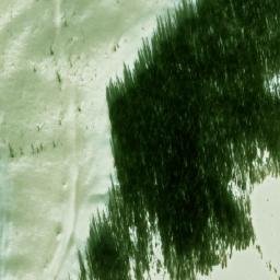 Satellite imagery of Mount Anderson, CA