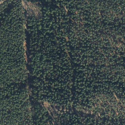 Satellite imagery of Sareitzer Berg, DE