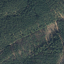 Satellite imagery of Sareitzer Berg, DE