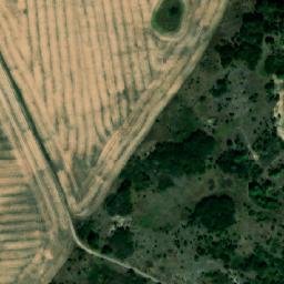 Satelita