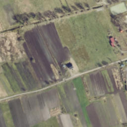 Satelita