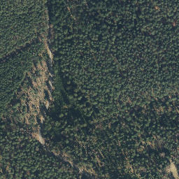 Satellite imagery of Sareitzer Berg, DE