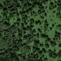 Satellite imagery of Алгаин, KZ