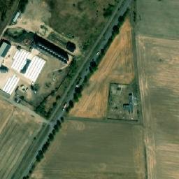 Satelita