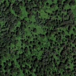 Satellite imagery of Медвежий Лог, KZ