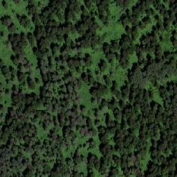 Satellite imagery of Медвежий Лог, KZ