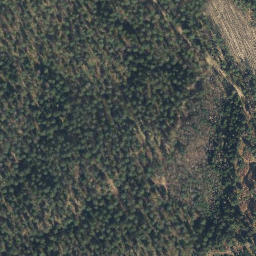 Satellite imagery of Pampower Berg, DE