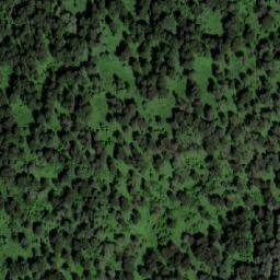 Satellite imagery of Медвежий Лог, KZ
