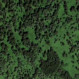 Satellite imagery of Медвежий Лог, KZ
