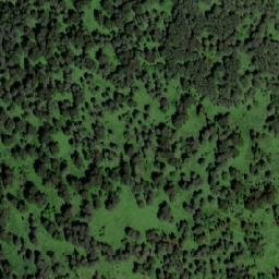 Satellite imagery of Медвежий Лог, KZ