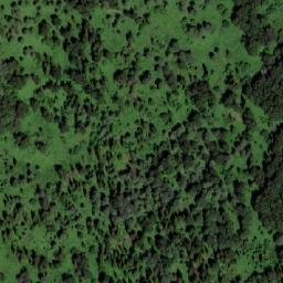 Satellite imagery of Медвежий Лог, KZ