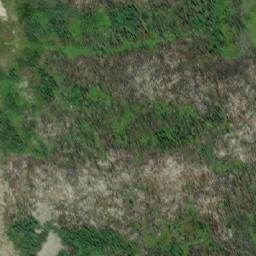 Satellite imagery of Watut Mountain, CA