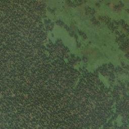 Satellite imagery of Elk Mountain, CA