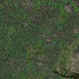 Satellite imagery of Watut Mountain, CA
