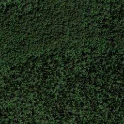 Satellite imagery of Пази, RU