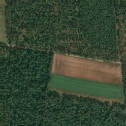 Satellite imagery of Neddenstein, DE