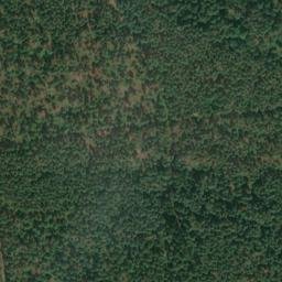 Satellite imagery of Neddenstein, DE