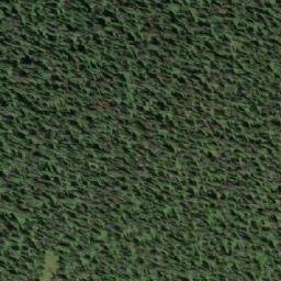 Satellite imagery of Mount Van Winkle, CA