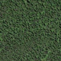 Satellite imagery of Mount Van Winkle, CA