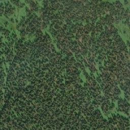 Satellite imagery of Bald Mountain, CA