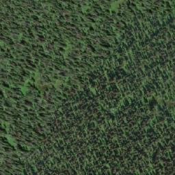 Satellite imagery of Mount Van Winkle, CA